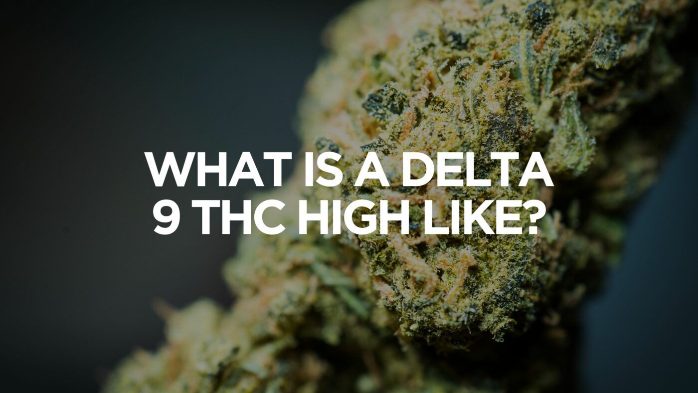 What Is A Delta 9 Thc High Like? 9 What Is A Delta 9 Thc High Like?