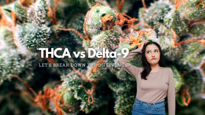 Thca Vs Delta 9: The Difference In These 2 Cannabis Cannabinoids 32 Thca Vs D9 Differences