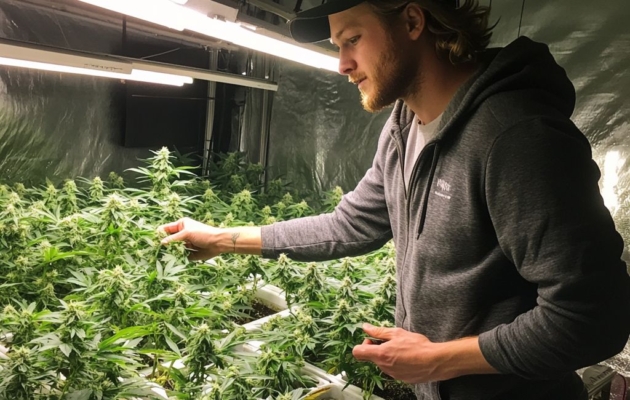 Is Delta-9 Safe? Considerations Before Use 26 Is Delta-9 Safe